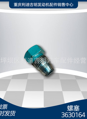 k19 k38发电机组配件 Nt855 发动机零件 螺塞3630164