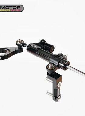 AJ-MOTOR SPORT雅马哈YZF-R3隐藏式方向钛尺总成赛用方向阻尼器