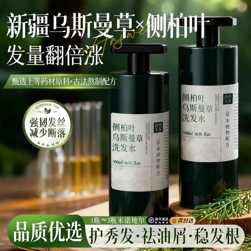 越洗越多茂盛蓬松侧柏叶图片