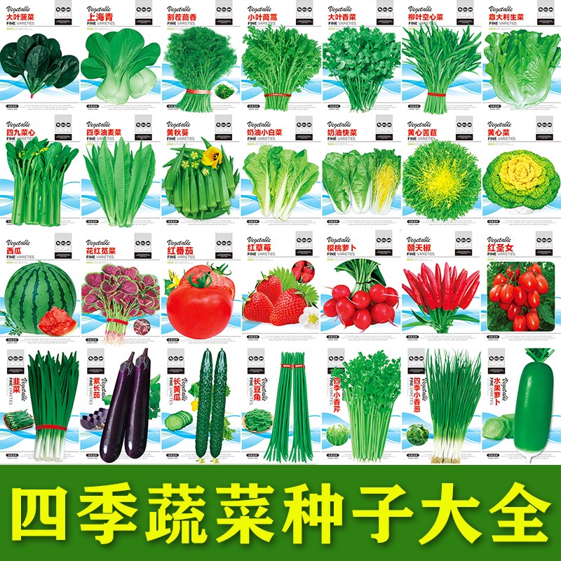 四季蔬菜种子香菜小葱黄瓜番茄子辣椒豇豆角生菜籽西瓜甜瓜孑大全