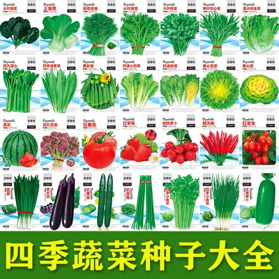 四季蔬菜种子香菜小葱黄瓜番茄子辣椒豇豆角生菜籽西瓜甜瓜孑大全