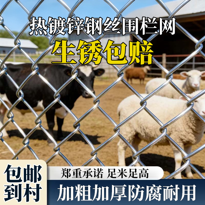热镀锌加粗加厚钢丝网围栏护栏