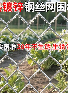 镀锌铁丝网钢丝网围栏栅栏户外护栏网家用养殖牛羊拦鸡网菜园防护