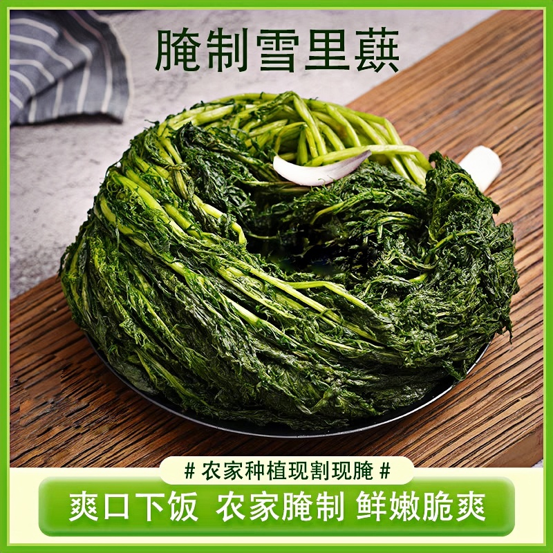 雪菜咸菜大全雪里红腌菜雪里蕻新鲜东北下饭青菜整箱散装10斤商用