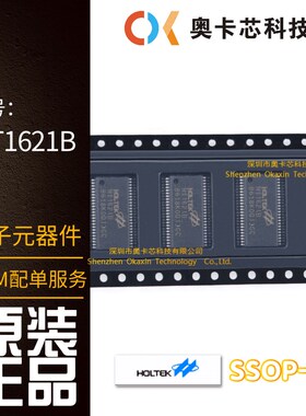 HT1621B SSOP-48 RAM映射32*4 LCD控制器芯片I/O MCU 全新原装