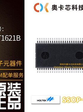 HT1621B SSOP-48 RAM映射32*4 LCD控制器芯片I/O MCU 国产/原装