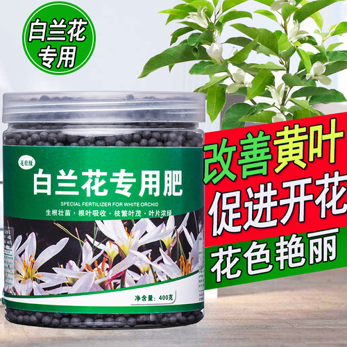 白兰花专用肥白兰花肥料黄角兰营养液树叶玉兰花肥发黄白玉兰叶子