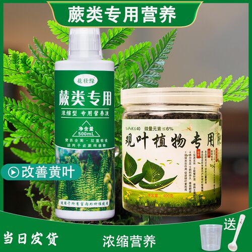 蕨类植物营养液桫椤肥料铁线蕨连线蕨植物肥料鹿角蕨狗毛蕨营养液