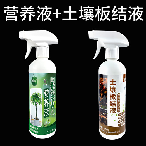 竹子专用营养液水竹肥料文竹夏威夷竹节节高绿叶肥治黄叶干尖落叶