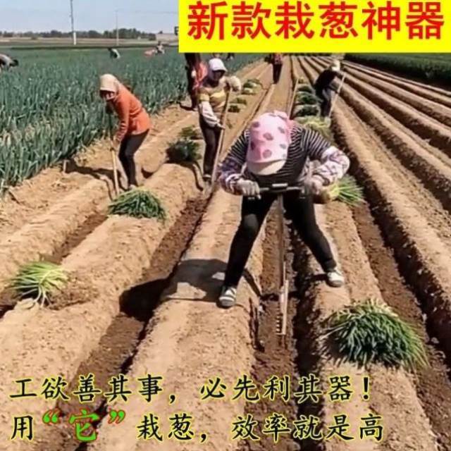 种葱神器栽葱机器栽苗器大葱叉子自动打孔工具洋葱种菜移栽寒葱