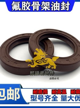 TC28*62*8耐高温油封 28.62.10 28-62-8 28*62*10氟胶油封 密封圈