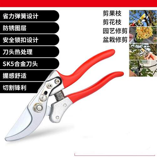 小剪刀盆景修剪工具花艺剪花木剪修树桩修枝剪造型专用工具园艺剪