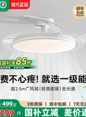 雷士照明风扇灯客厅餐厅卧室灯吊扇灯家用吊灯简约电扇枕边风灯具