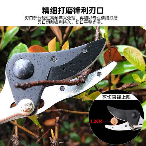 摘果器剪刀加长高空剪摘枣葡萄水果神器花椒修枝园林家用农用工具
