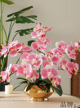 速发花艺摆件手感PU蝴蝶兰套装假花花饰装束干花客厅室内绢花摆设