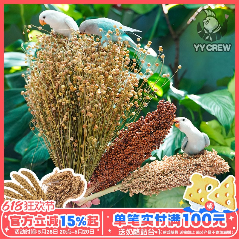 速发鹦造队 鹦鹉谷穗食食营养麦穗鸟粮牡丹虎皮粮零鸟鹦景