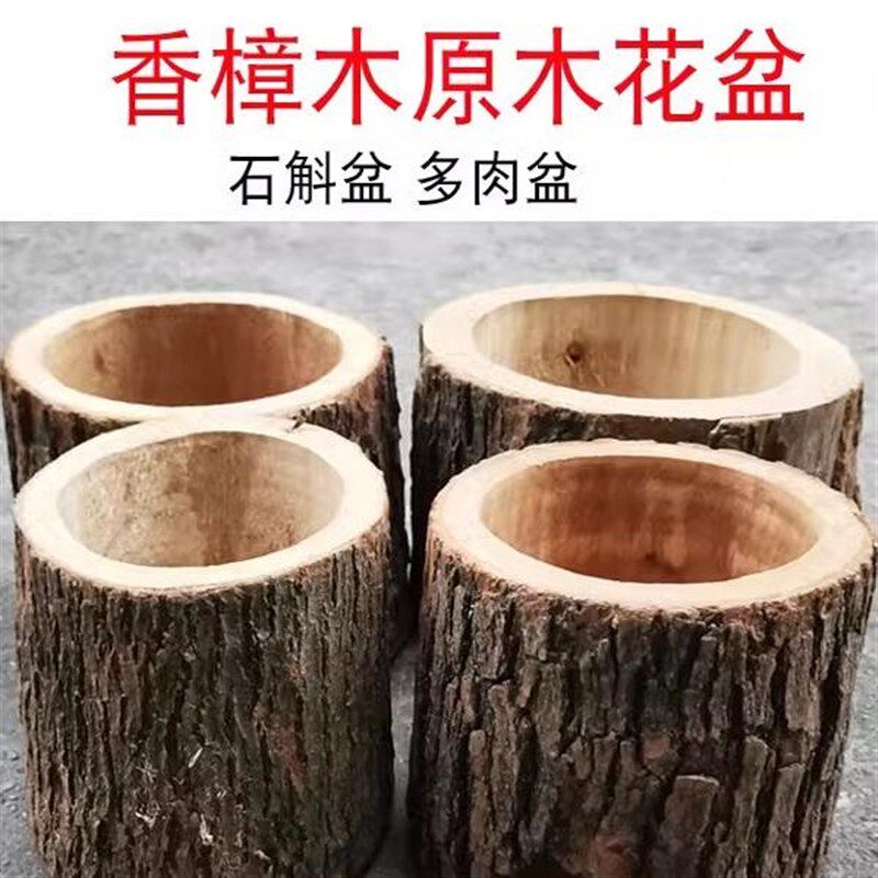 速发创意新款松木专樟木原木树质木桩 多肉植物铁皮石斛香用花盆