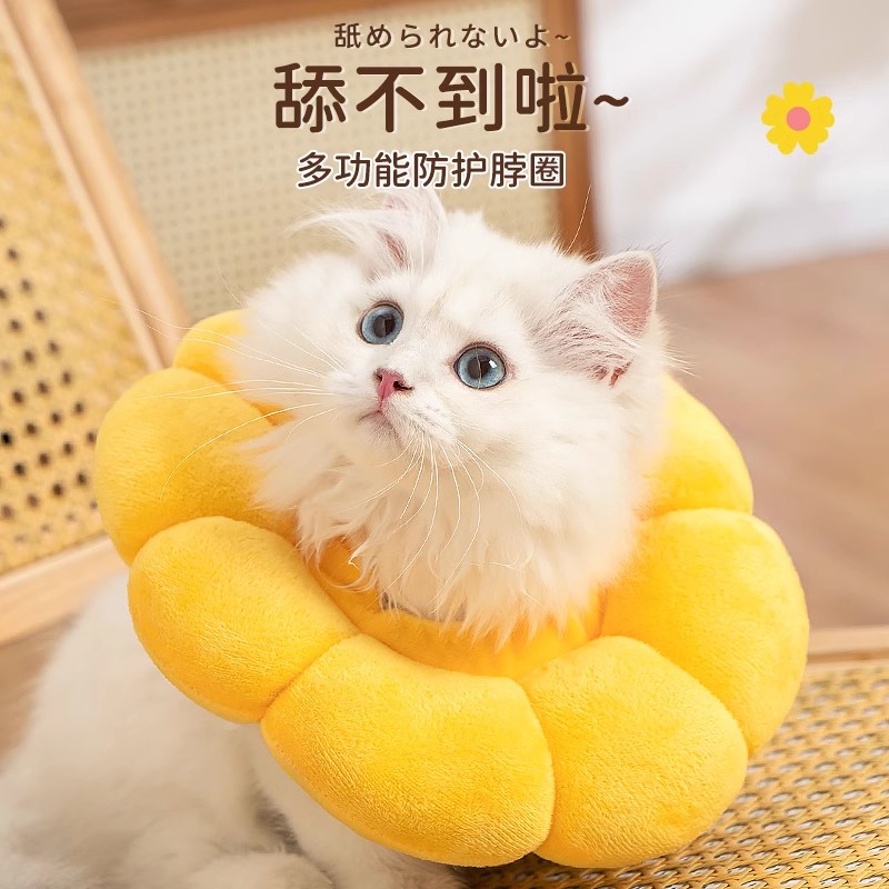 速发伊丽莎白圈猫舔育项圈防绝除跳蚤英短猫咪脖圈颈套头圈狗用品