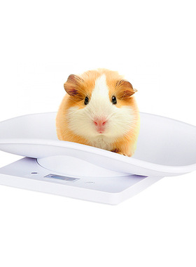 速发Hot sg  pet sce electho sce kitcre sce