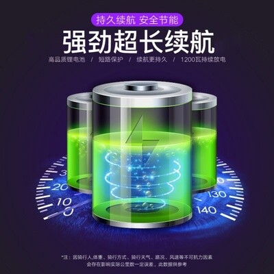 速发平电车儿童衡动有扶手7-10岁8一12成越上班平行车高速版双轮