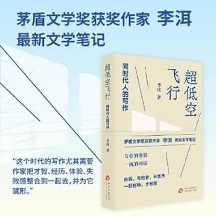 超低空飞行 同时代人的写作 茅盾文学奖获奖作家李洱文学笔记 专业的鉴赏自我与他者与世界一起在场 现代文学随笔鉴赏正版