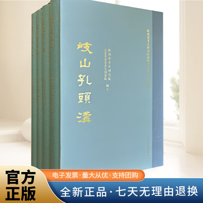 官方正版 岐山孔头沟(全四册)西周王畿地区贵族采邑的文化聚落社会研究陕西考古研究院北京大学考古文博学院编著 上海古籍出版社