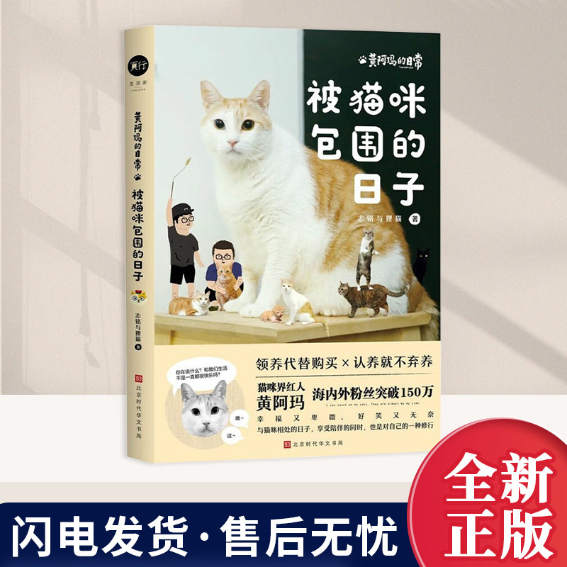 被猫咪包围的日子 志铭与狸猫著 坐拥百万粉丝的猫咪届真网红和小伙伴的可爱日常 猫奴人手一本的“撸猫圣经 青岛出版社