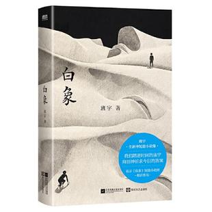 2025新书 白象 班宇全新中短篇小说集 收录飞鸟与地下狐及其友关河令清水心跳 当一切归入沉寂 2025豆瓣年度图书榜单