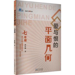 爱与恨的平面几何  七年级