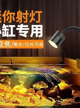 USB迷你射灯鱼缸夹灯可变焦