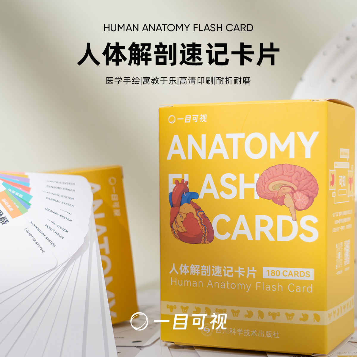 人体解剖速记卡片医学生学习科普好物一目可视超全180张医学手册