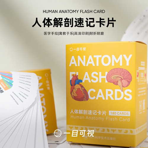 一目可视人体解剖速记卡片