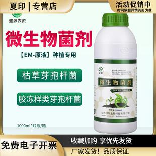 EM菌原液有机种植专用改良土壤防病花肥营养液发酵菌益生菌原露