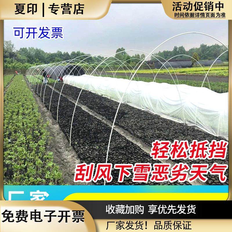 小拱棚支架杆蔬菜拱棚骨架育苗菜棚花棚玻璃纤维杆弹力棒农用大棚,农机/农具/农膜,温室大棚支架,淘宝优惠券,粉丝福利购,淘宝优惠卷