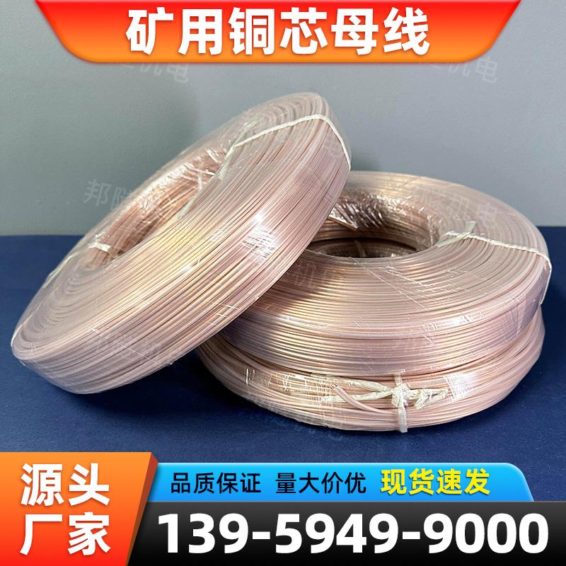 矿用数码管铜线母线白色纯铜母线多芯线单芯线铜芯线图片