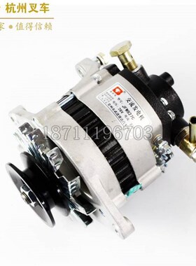 厂家叉车4配件44.5吨杭州柳工龙工叉车新柴95498发电机。