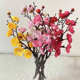 春三月舞蹈花枝道具寒依疏影手拿花仿真梅花枝条桃花干花舞台道具