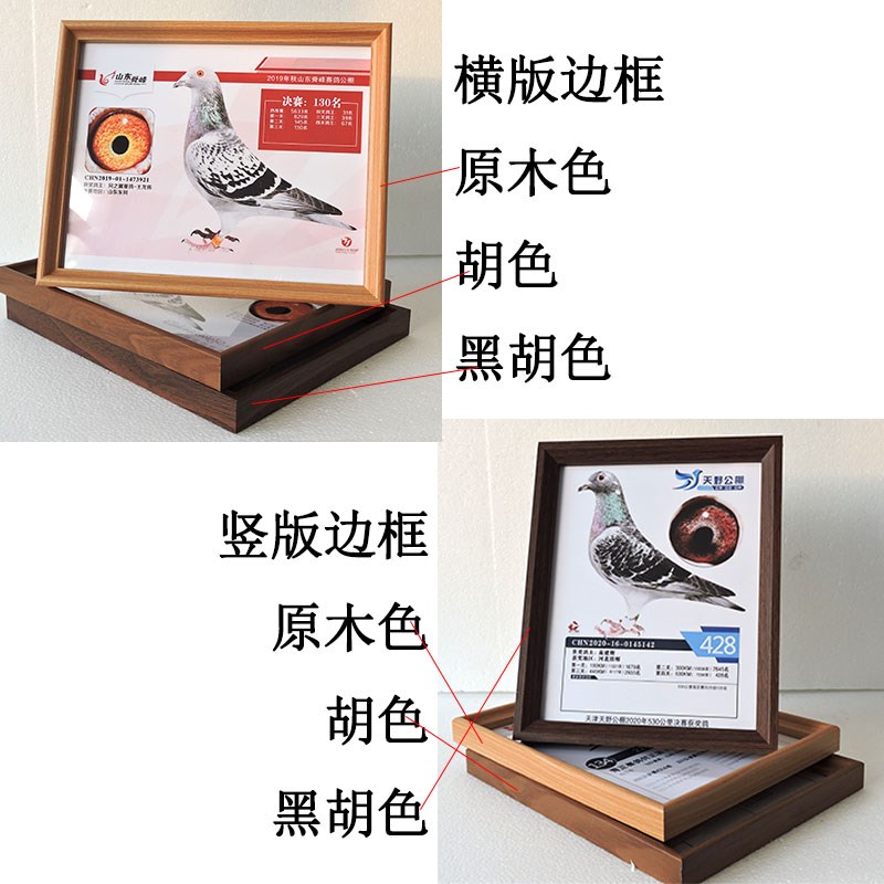 热销定制b赛鸽成绩摆台相框桌面摆件可挂墙高清来图10寸相片16寸