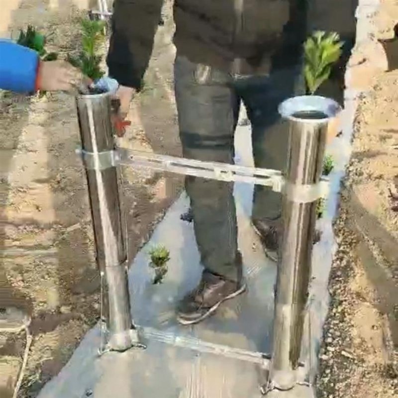 热销栽苗移苗神器农用工具种蔬菜辣椒玉米秧苗Q大棚地膜打洞挖洞