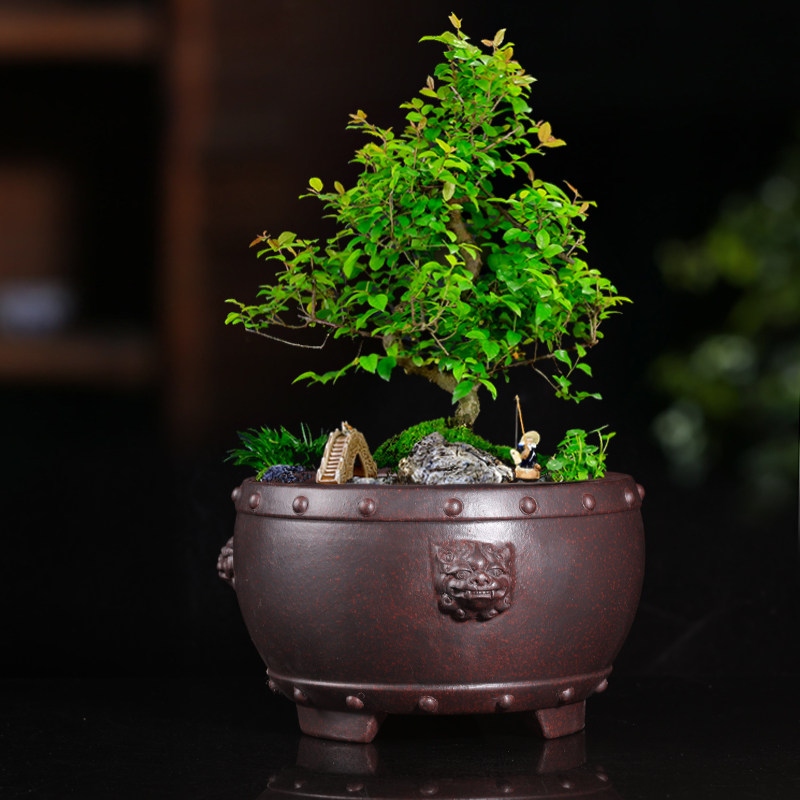 热销紫砂花盆中号兰花q盆鼓钉兽头精品多肉菖蒲桌面室内盆景盆老