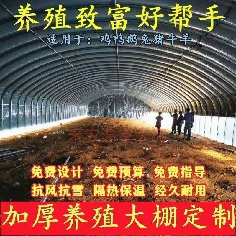 热销养殖种植大棚骨架全套椭圆管养鸡鸭鹅棚牛羊S猪棚蔬菜种植育