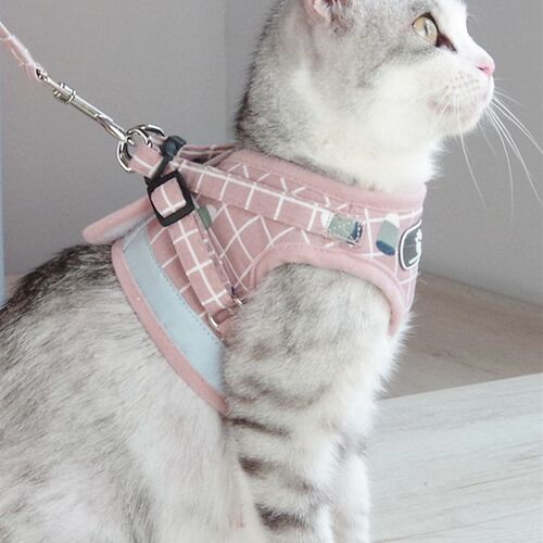 热销网红猫咪牵引绳背心式外出专用防挣脱M项圈遛猫绳自动伸缩背