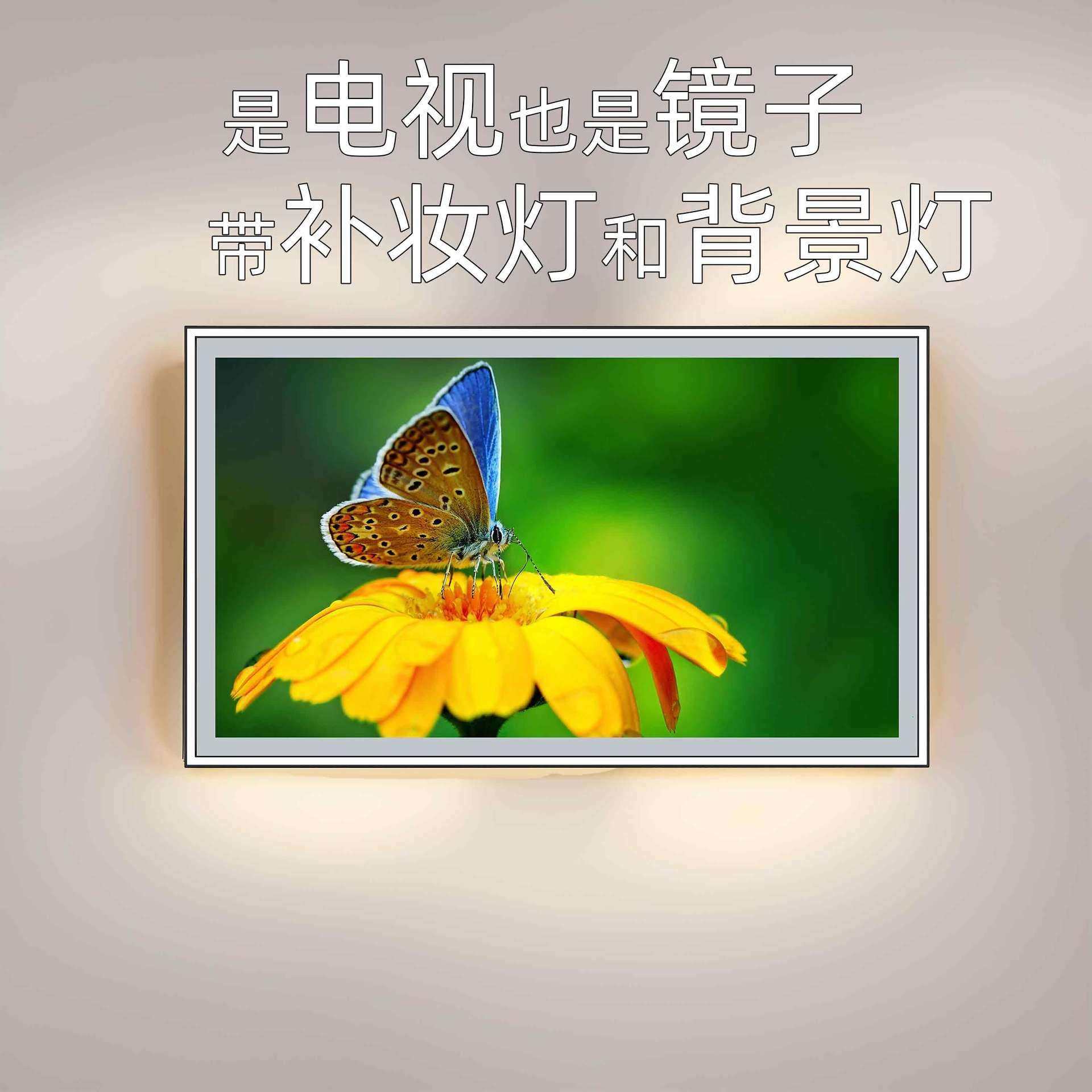 43寸镜面电视梳妆台电视魔镜谷歌电视4K高清电视浴室电视安卓电视