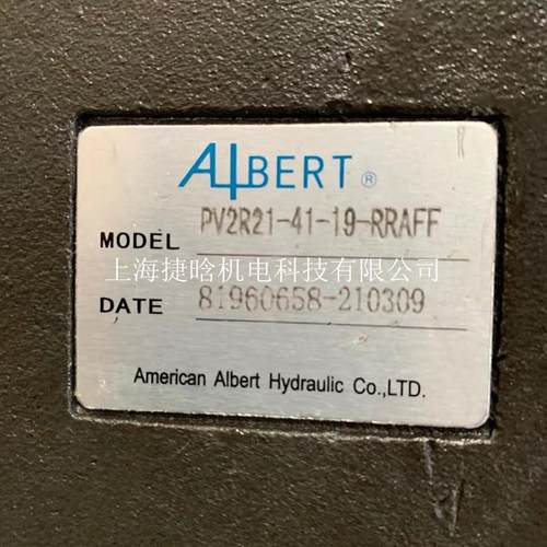 ALBERT艾伯特 柱销式叶片泵 T6C-020-1R00B100 压铸机械油泵