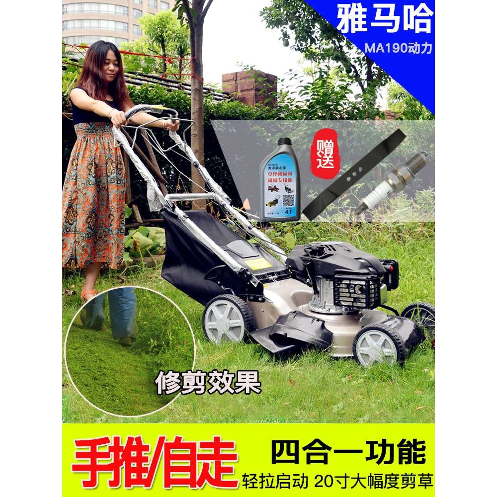 MA190 GXV160汽油草坪机四冲程割草机自走手推式多功能剪草机推草