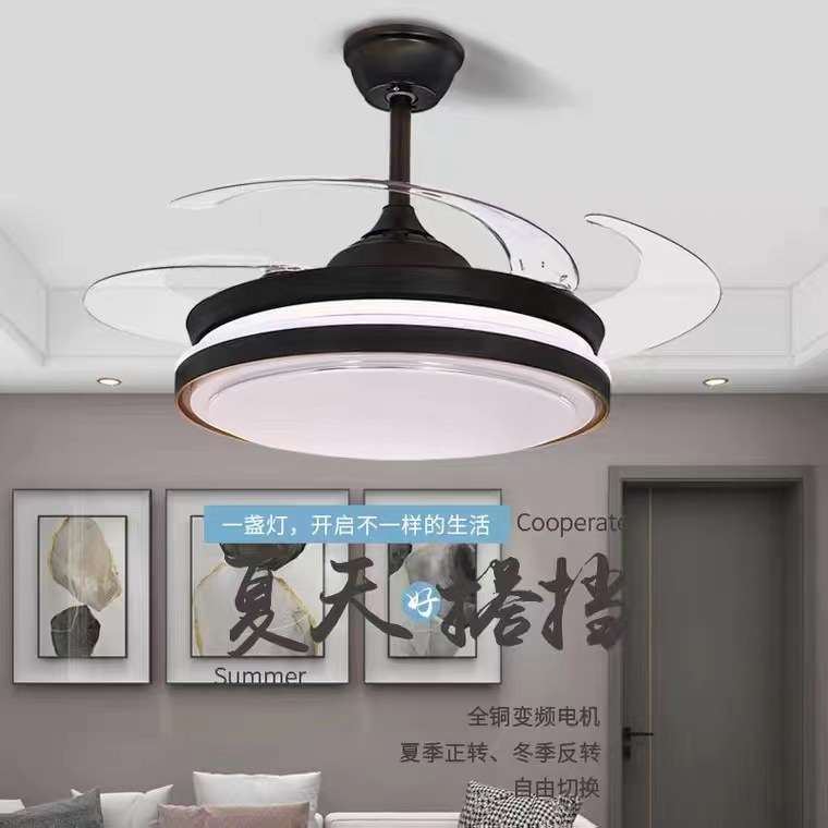 风扇吊灯隐形风扇灯客厅餐厅饭厅家用一体电风扇吊灯现代极简灯具