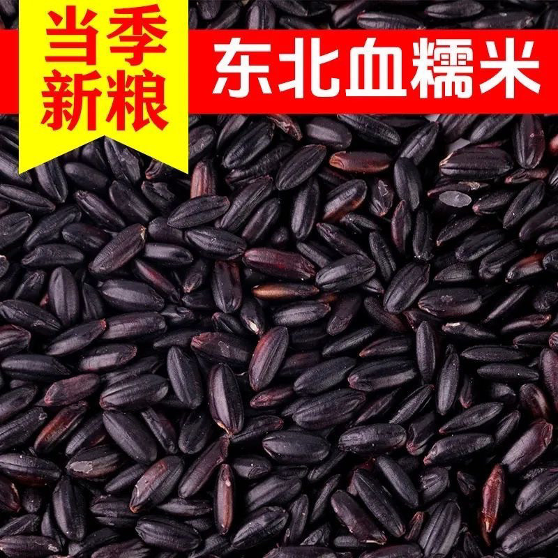 2026新米正宗东北糯【真血糯米】新米黑糯米紫糯米非染色五谷杂粮