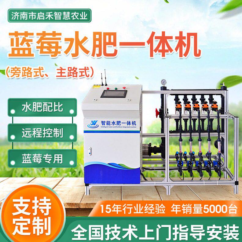 蓝莓草莓施灌溉一体设备全自动灌溉无土栽培智能蓝莓水一体机