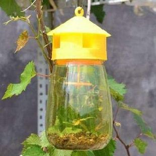 Fruit Traps Fly TGraps Outdoor 极速Fly Catcher Reusable