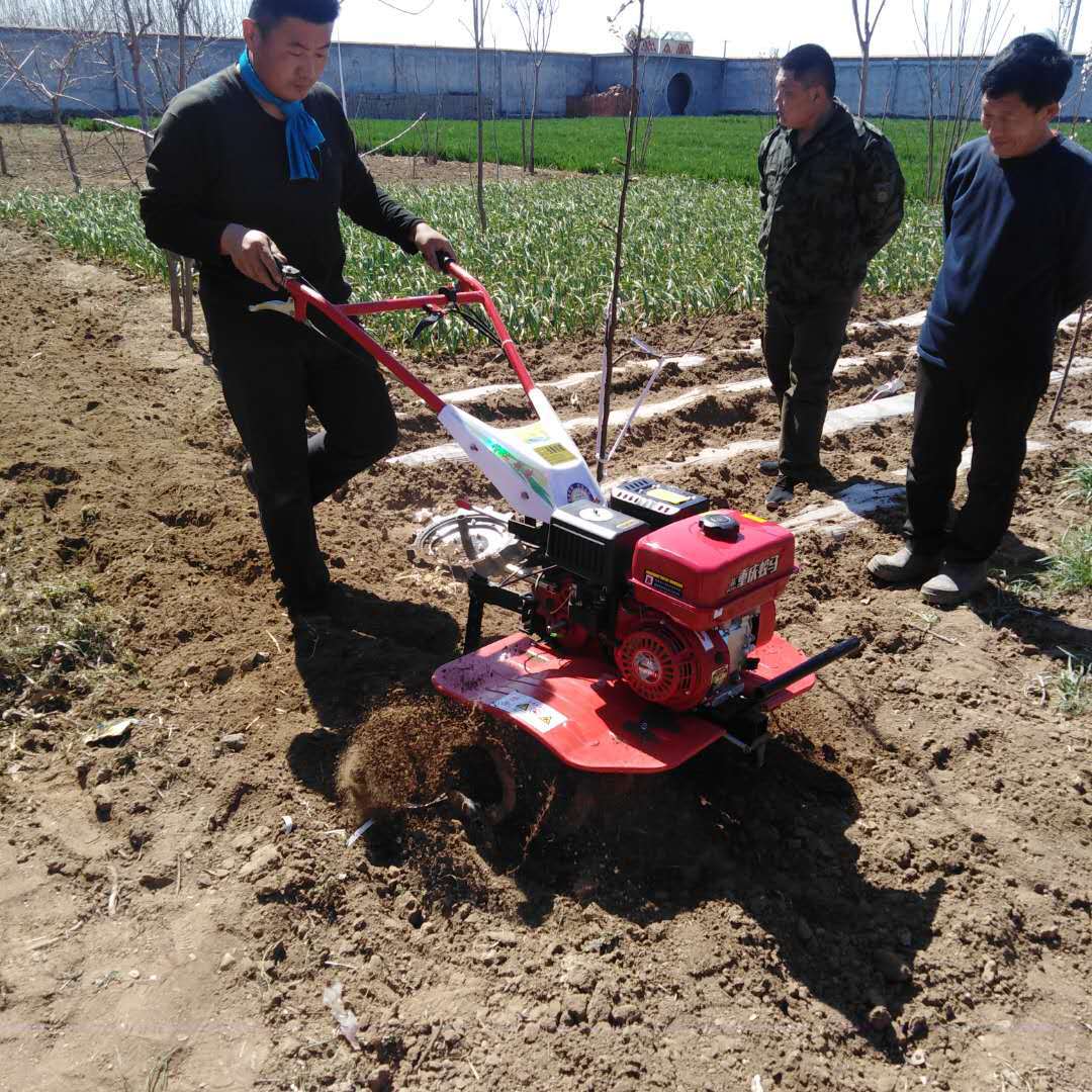 极速小型汽e油旋耕松土机 农用大棚松土锄草机 汽油旋耕犁地机